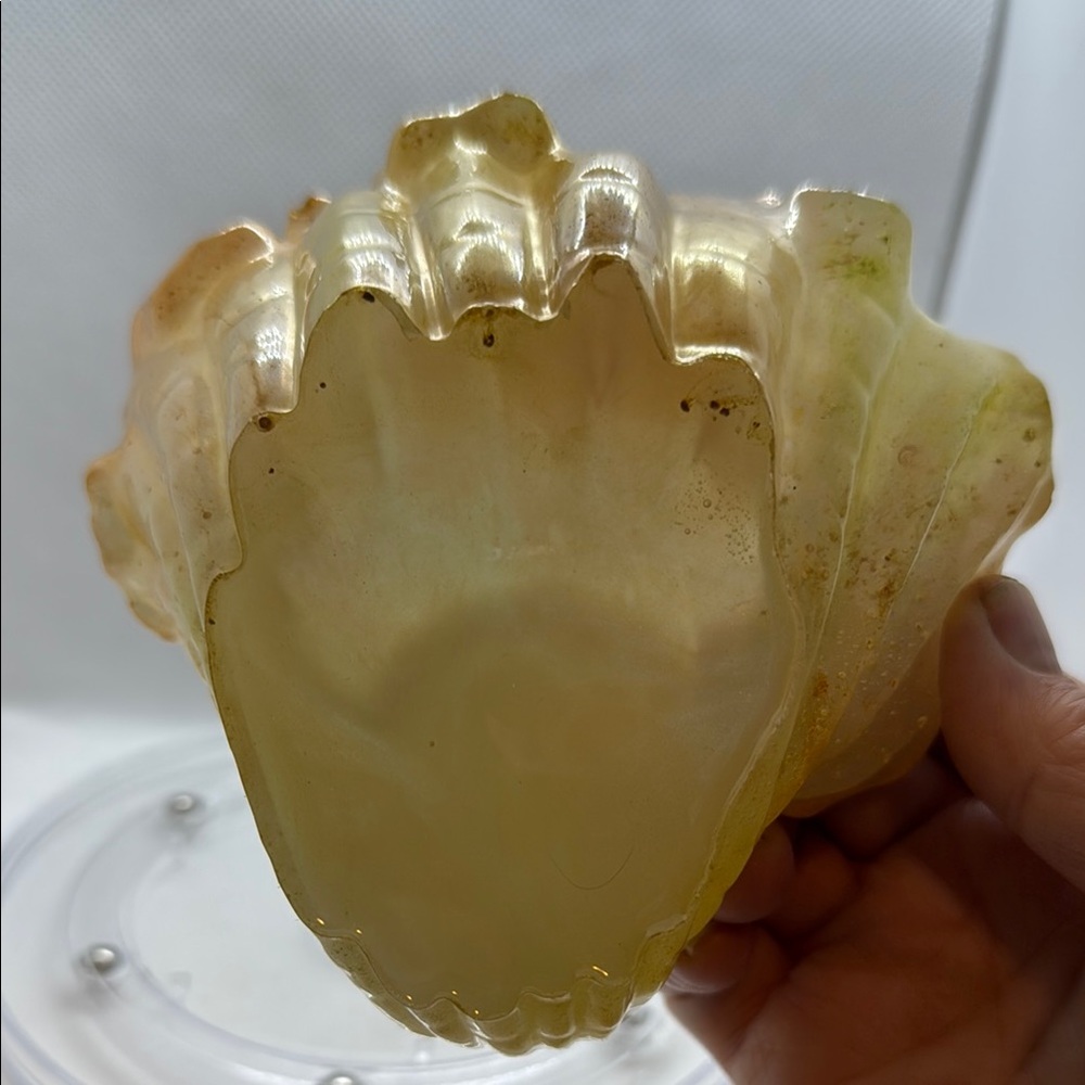 Unique Resin Gold Leaf-Shaped Decorative Bowl - Picture 6 of 17